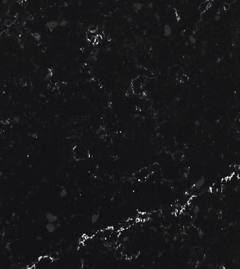 Eternal Black